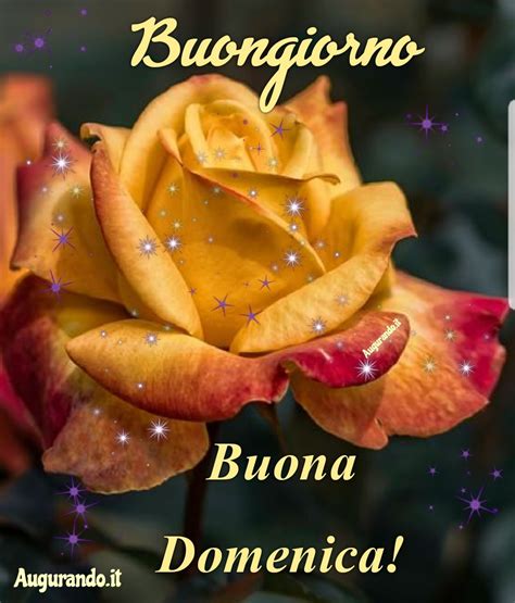 buongiorno buona domenica immagini nuove|auguri di buona giornata.